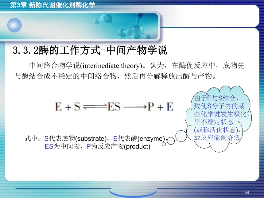 3.3酶作用的机制 课件(共19张PPT)- 《环境生物化学》同步教学（机工版·2020）