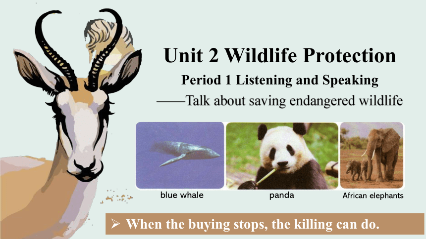 人教版（2019）必修第二册Unit 2 Wildlife Protection Listening and Speaking 课件(共17张PPT)