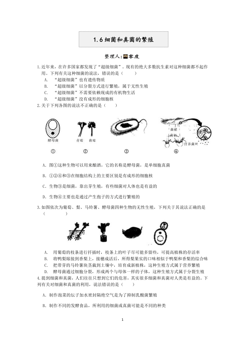 浙教版2022-2023学年第二学期七年级科学课课练：1.6细菌和真菌的繁殖【word，含解析】