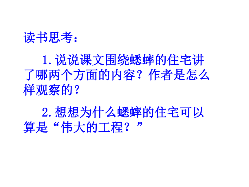 11.蟋蟀的住宅 课件(共43张PPT)