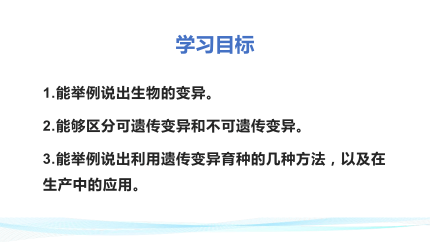 6.2.2 变异-【精准备课】2021-2022学年八年级生物下册同步教学优质课件（冀少版）(共33张PPT)