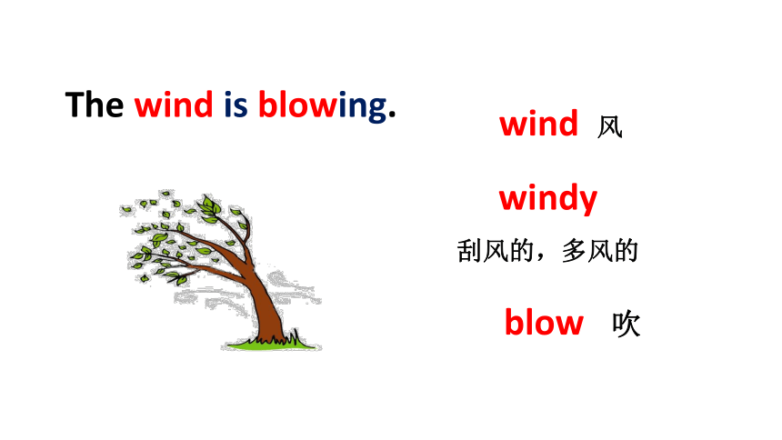 Module 4 Unit10Wind 课件（共36张ppt）