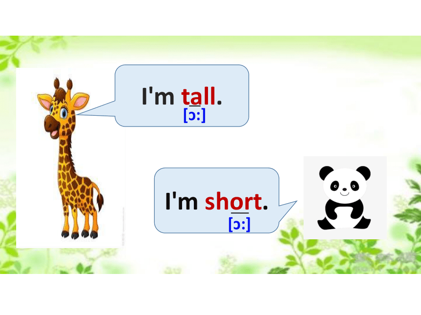 Unit 3 Lesson 14 Are You Short or Tall ？课件(共33张PPT)