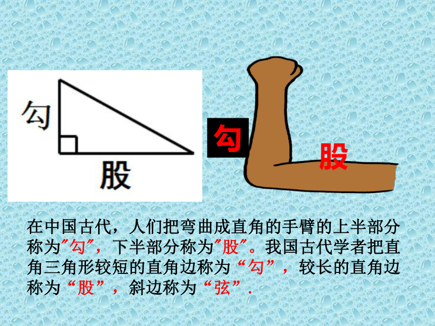 沪教版（上海）初中数学八年级第一学期 19.9 勾股定理 课件（共20张ppt）