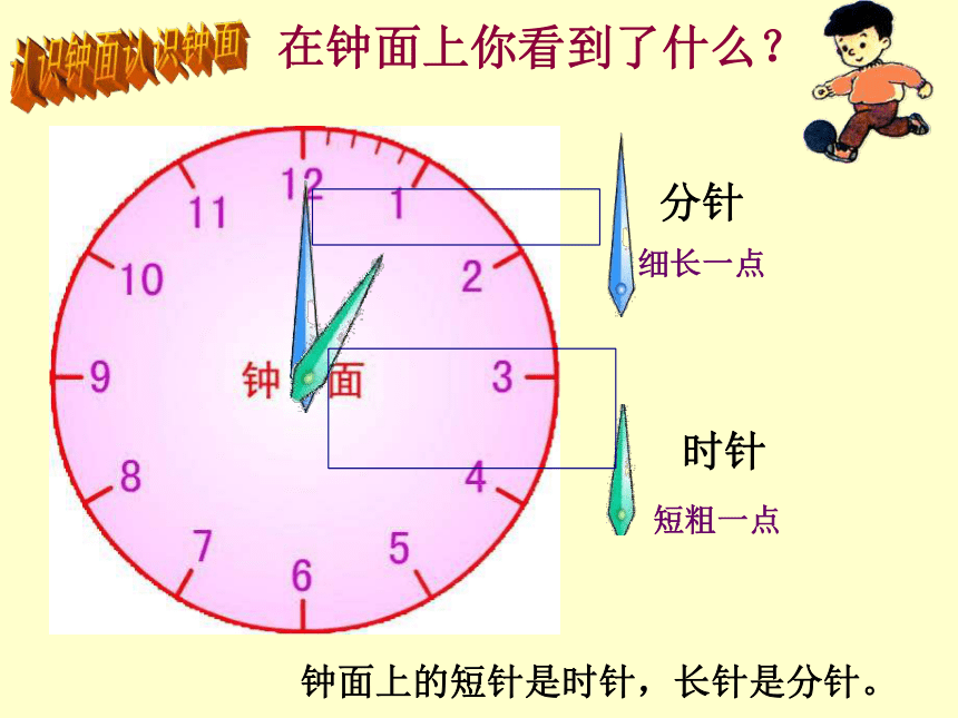 二年级下册数学课件-2.1  认识时分苏教版（共34张PPT）