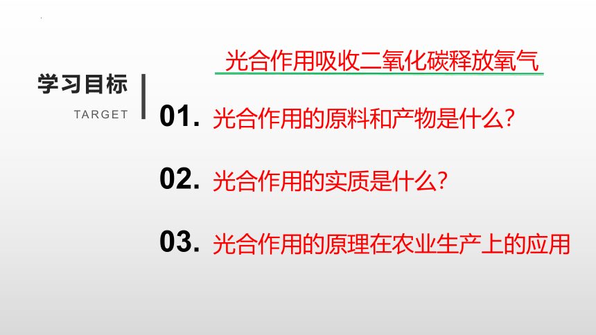 2022-2023学年七年级生物上学期3.5.1 光合作用吸收二氧化碳释放氧气-同步优质课件(共22张PPT)