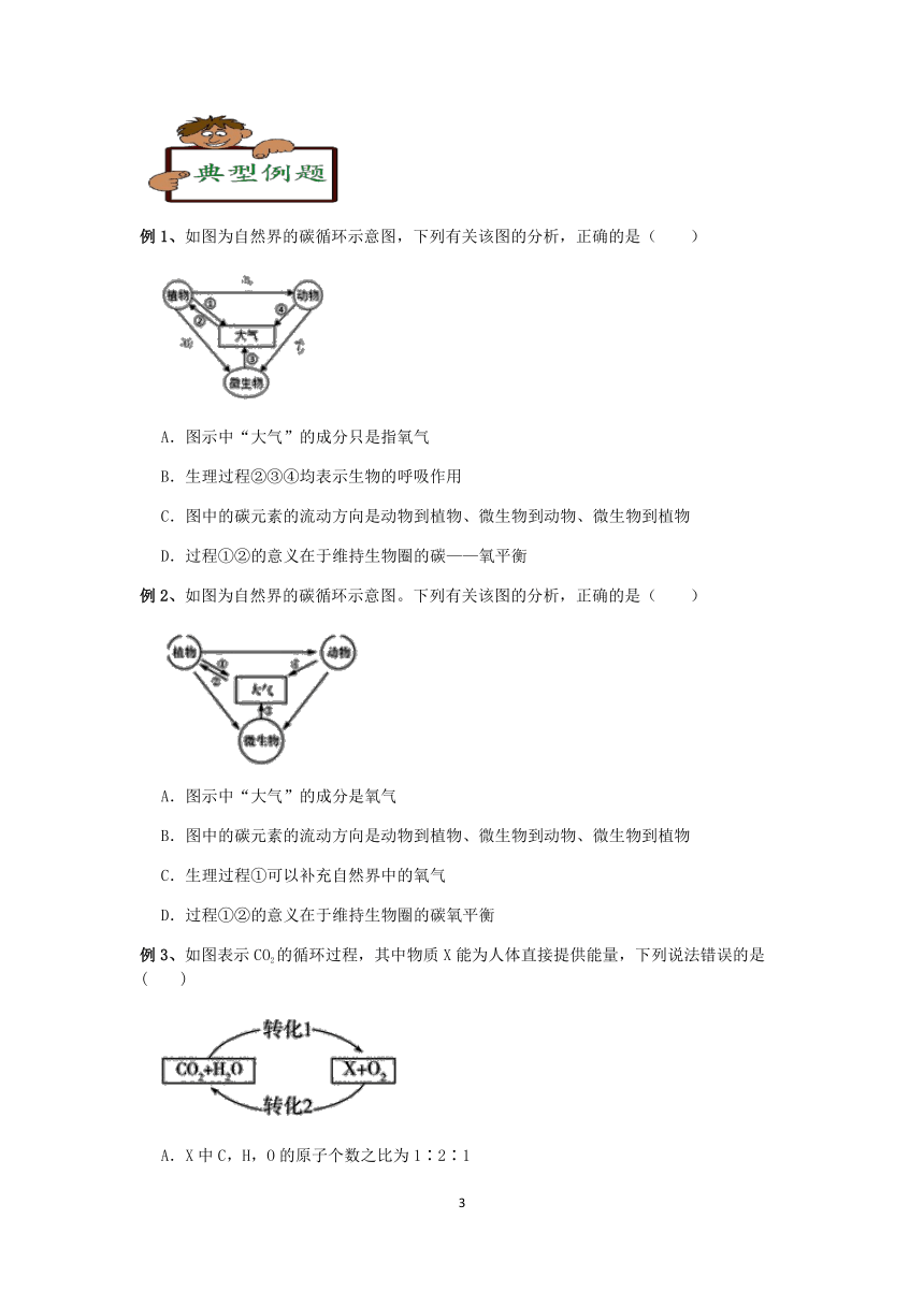 【快人一步】浙教版2022-2023学年寒假八（下）科学讲义（二十四）：自然界中的氧循环和碳循环【wrod，含答案】