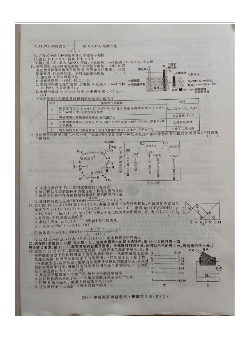 2024届山西省平遥县第二中学校高三下学期冲刺调研押题卷（四）理综试题（含解析）