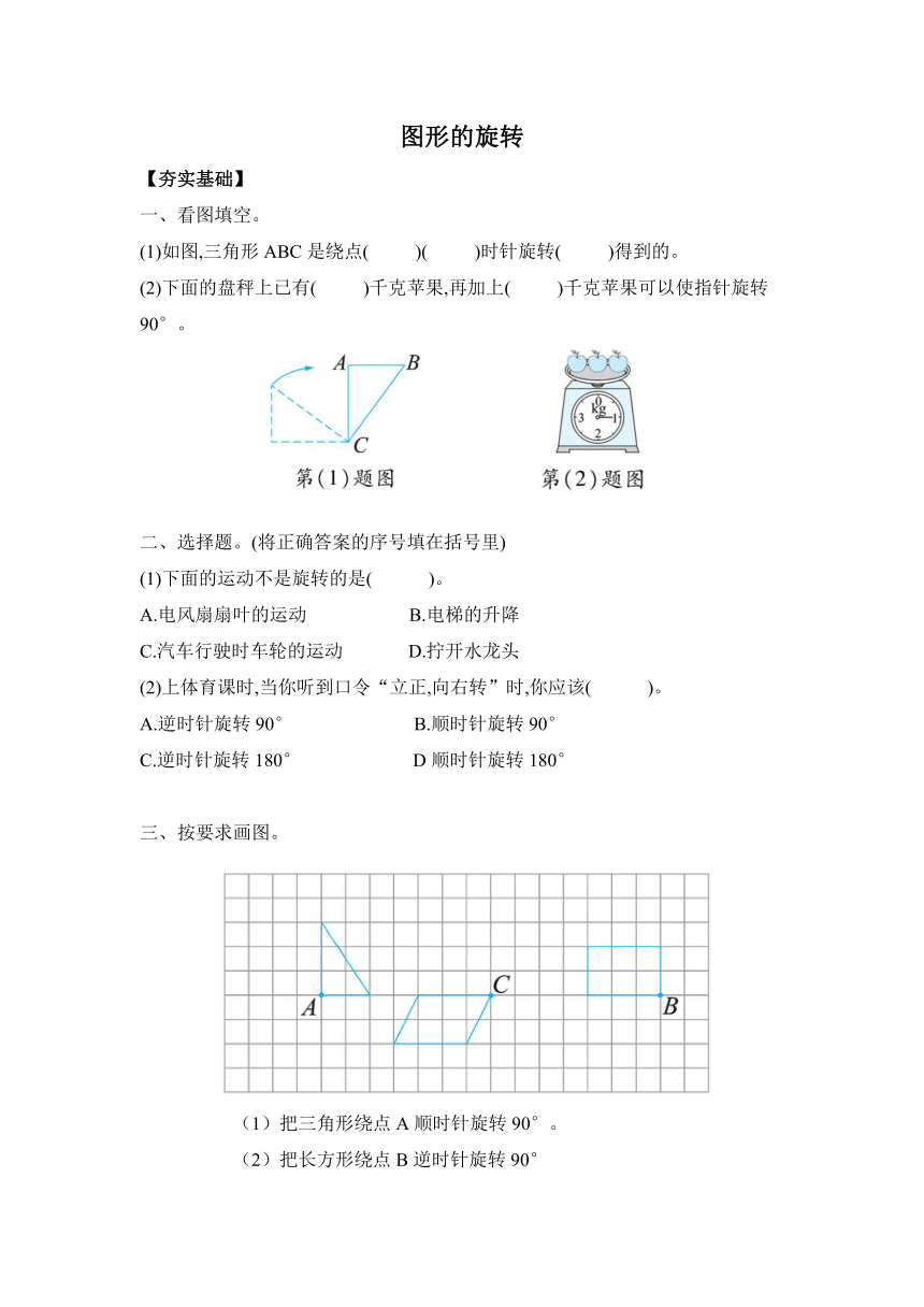 【课课练】 苏教版四下数学 1.2图形的旋转 （习题）