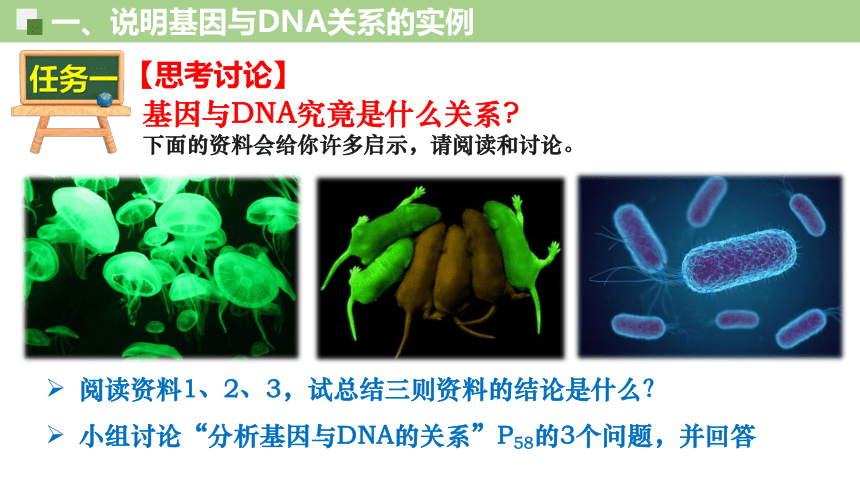 3.4基因通常是有遗传效应的DNA片段课件（共25页ppt）-人教版必修2