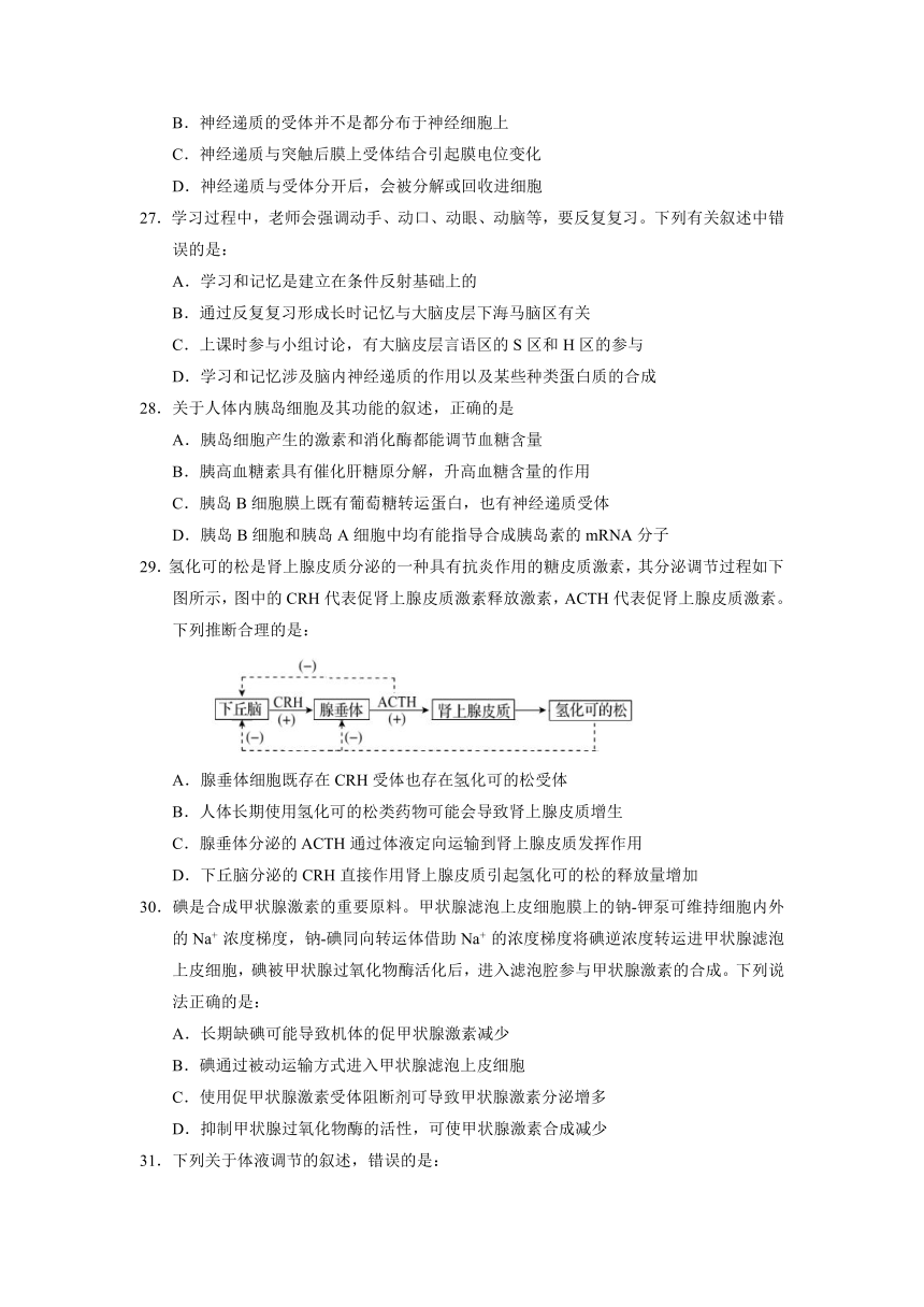 安徽省宿州市十三所重点中学2021-2022学年高二上学期期中考试生物试题（Word版含答案）