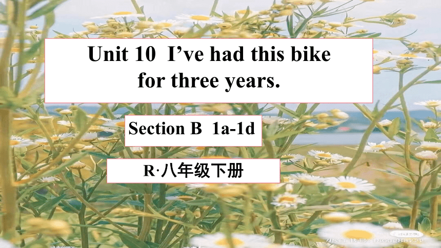 Unit 10  I've had this bike for three years. Section B 1a-1d 课件(共15张PPT) 2022-2023学年人教版英语八年级下册