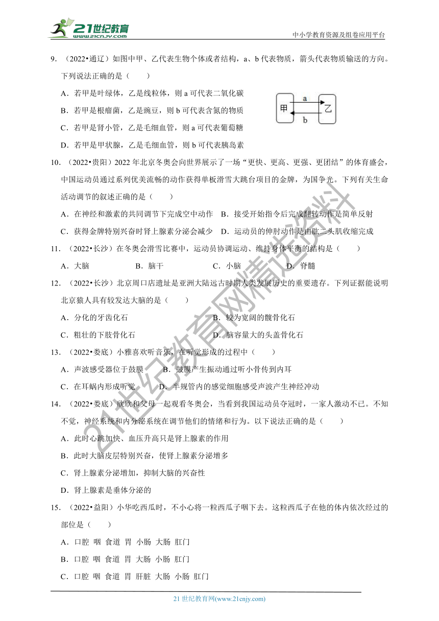 【备考2023】2022年中考生物真题分类汇编4——生物圈中的人部分（含解析）