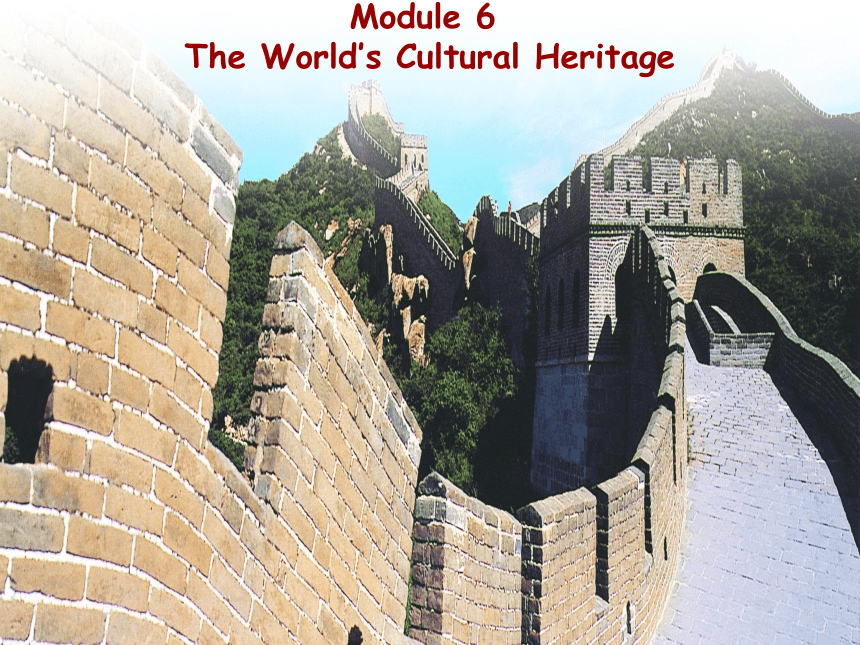 外研版 选修7 Module 6 The World’s Cultural Heritage Grammar课件（22张PPT）