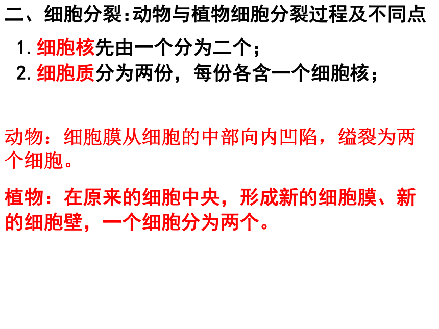 2021-2022学年人教版七年级生物上册第二单元第二章细胞怎样构成生物体复习课件(共46张PPT)