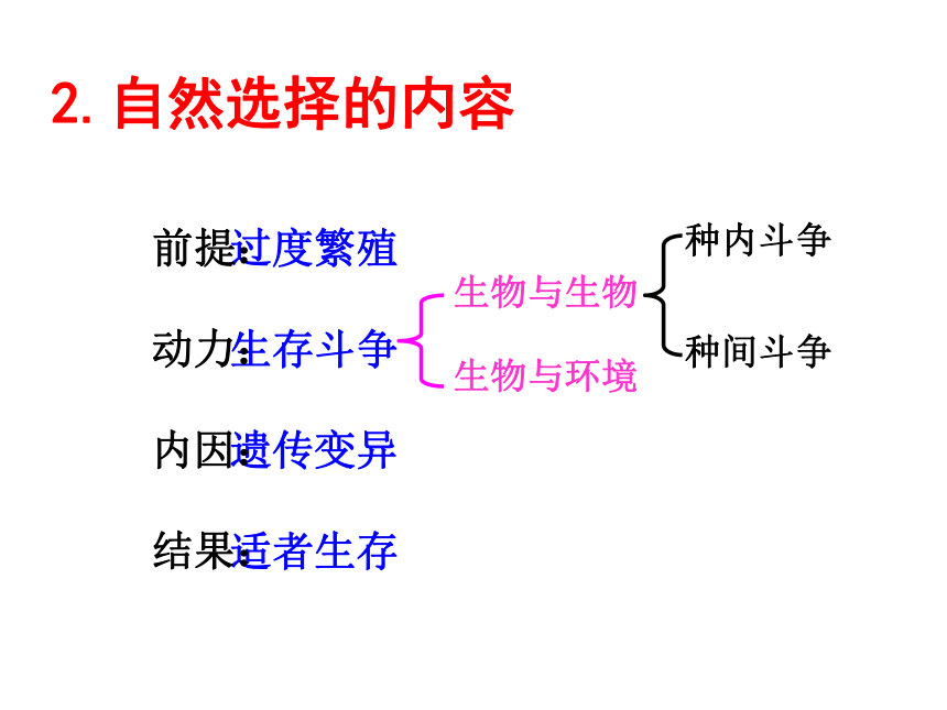 2020--2021学年济南版八年级下册5.1.4  生物进化的原因 课件(28张PPT)