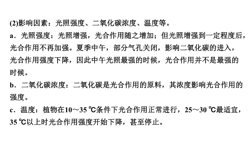 3.4  植物的光合作用、呼吸作用与植物在生物圈中的作用复习课件(共59张PPT)