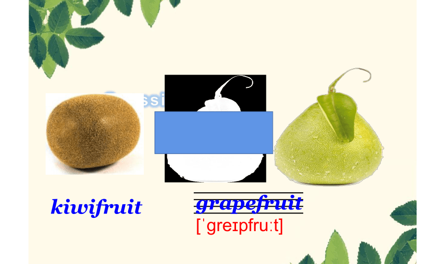 Unit6 It’s a grapefruit. Lesson 31 课件(共17张PPT)
