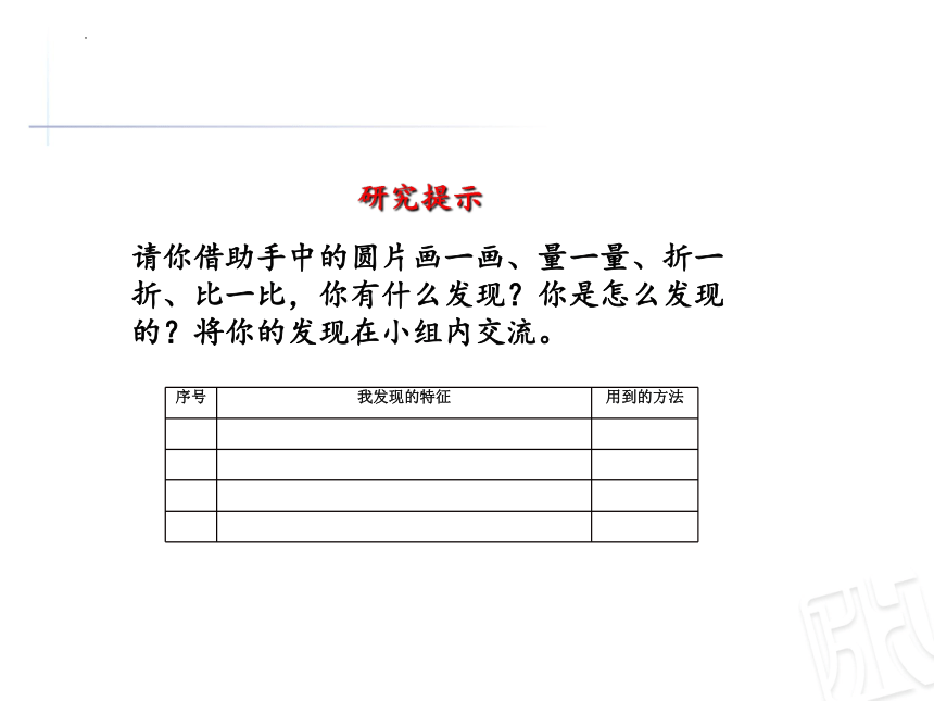 5.1《圆的认识》（课件）青岛版六年级上册数学（共25张ppt）