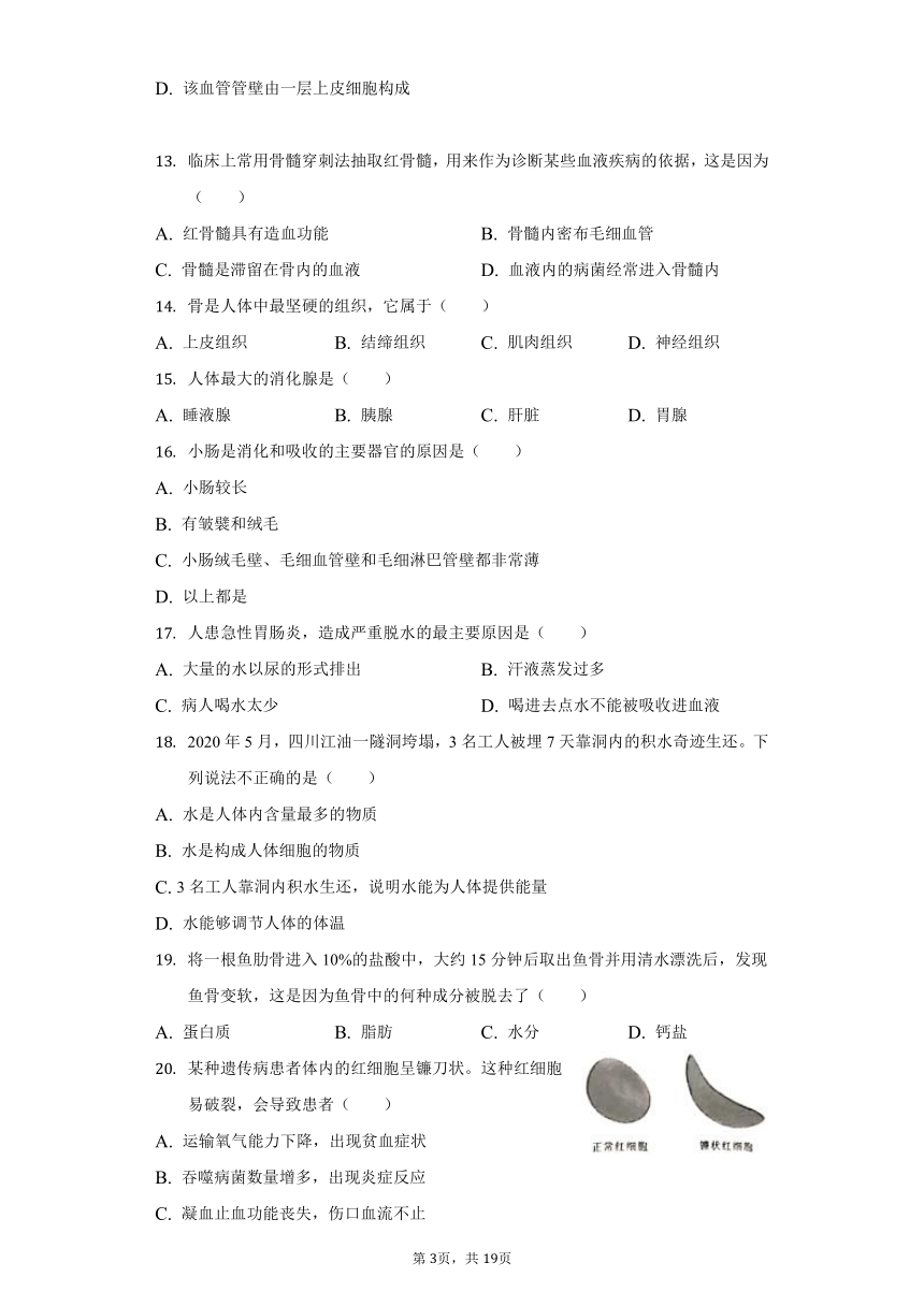 2021-2022学年河南省洛阳市洛宁县七年级（下）期中生物试卷（word版含解析）