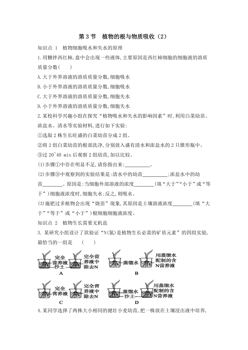 浙教版八年级科学下册同步课时练习：4.3 植物的根与物质吸收  第2课时（含答案）