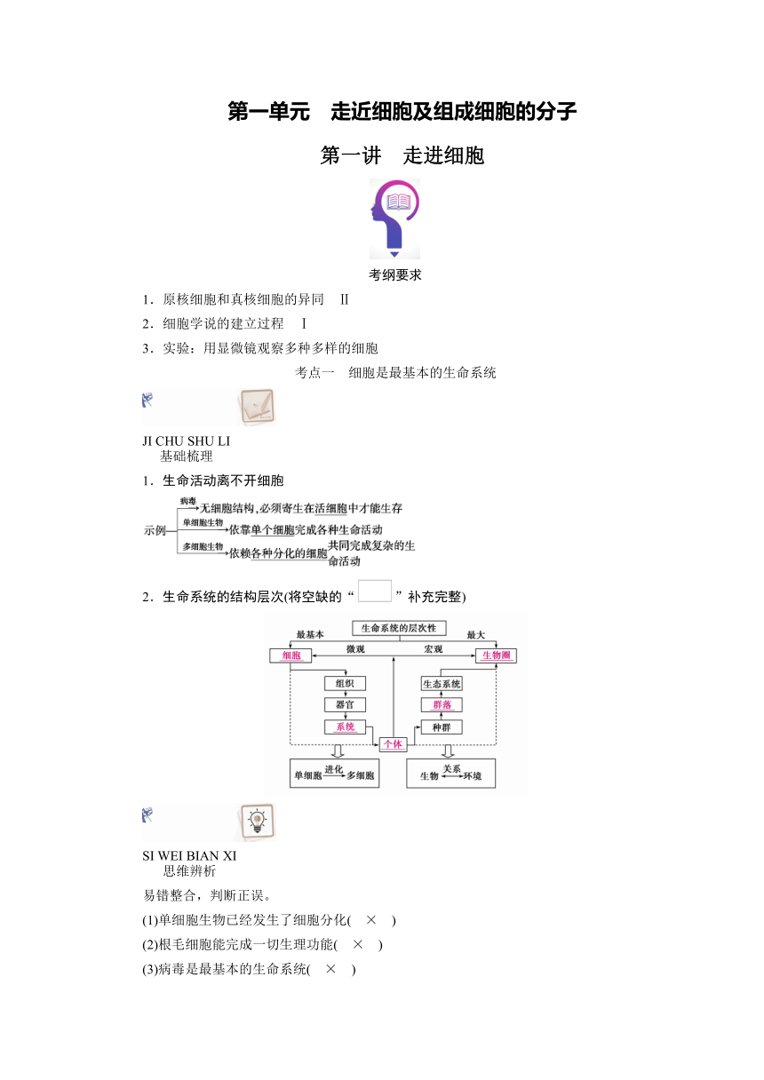 第一单元　走近细胞及组成细胞的分子　单元复习学案（含解析）