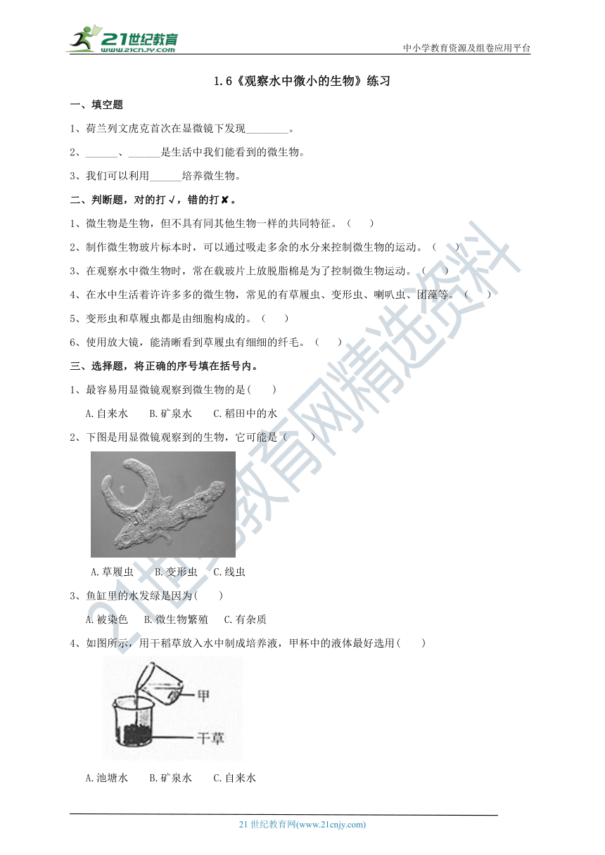 1.6《观察水中微小的生物》练习（含答案）