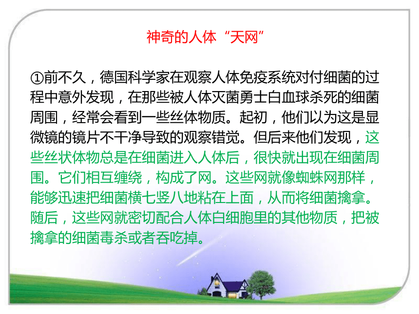 初中语文七年级下册期末复习说明文阅读综合练习 课件（共22张PPT）