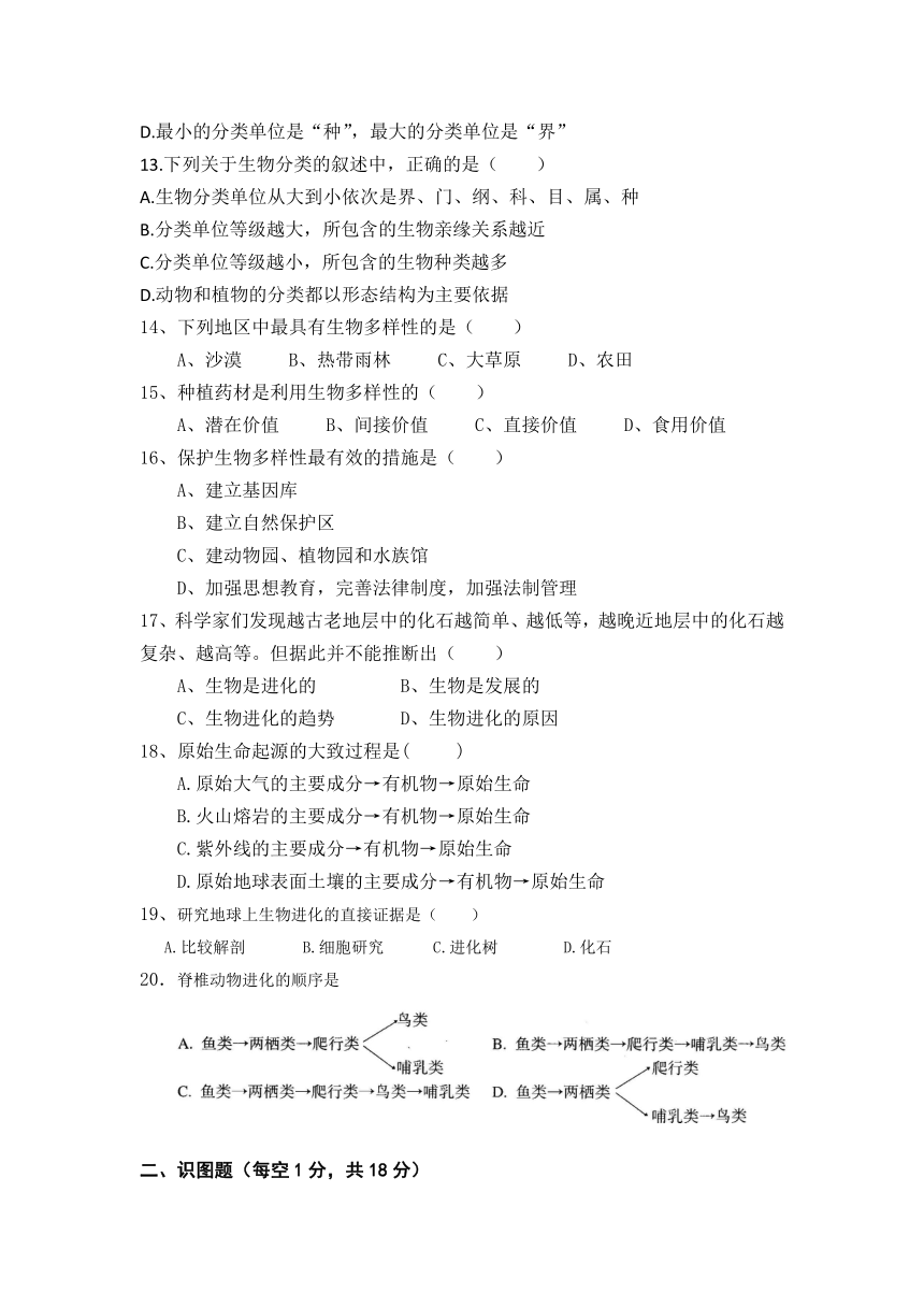 辽宁省朝阳市第七中学2021-2022学年八年级上学期期中考试生物试卷（Word版 含答案）