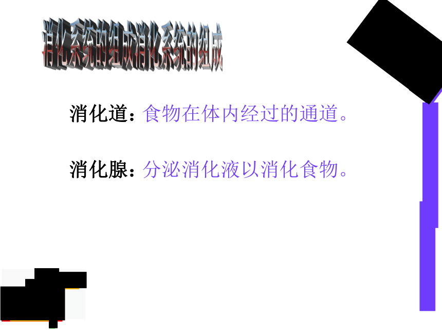 2.1.2.2 食物在胃肠内消化 课件  2020-2021学年冀少版生物七年级下册（20张PPT）