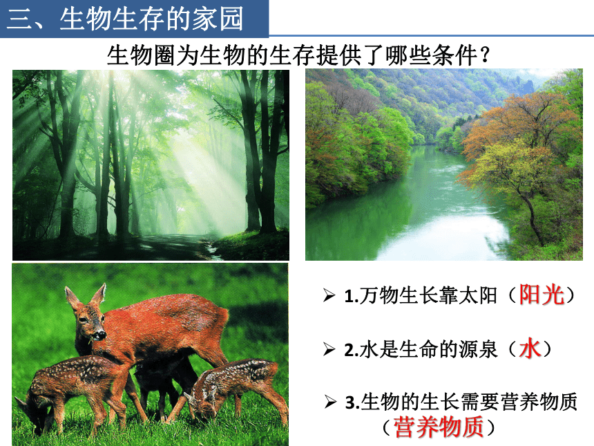 2.3.2 生物生存的家园——生物圈 课件(共15张PPT)2022--2023学年苏科版生物七年级上册