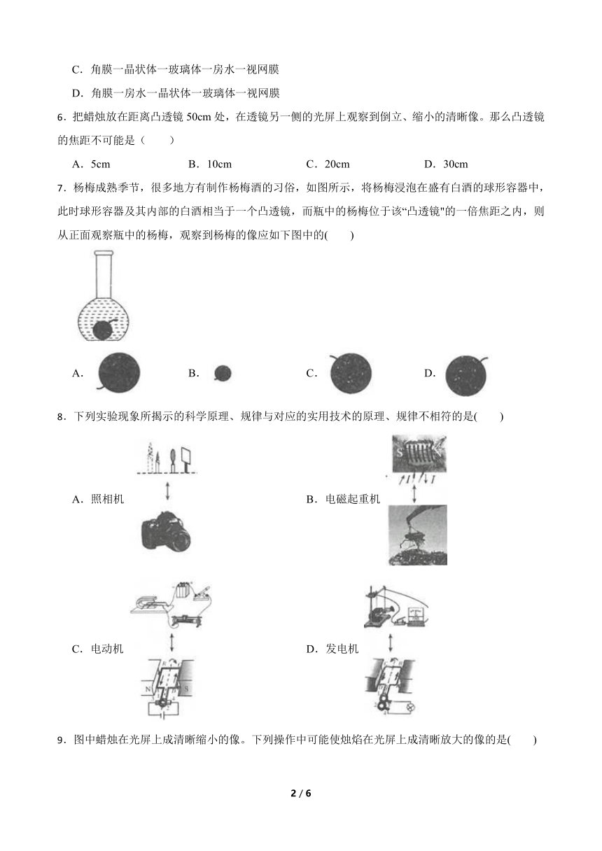 2.6 透镜和视觉 同步练习（含答案）