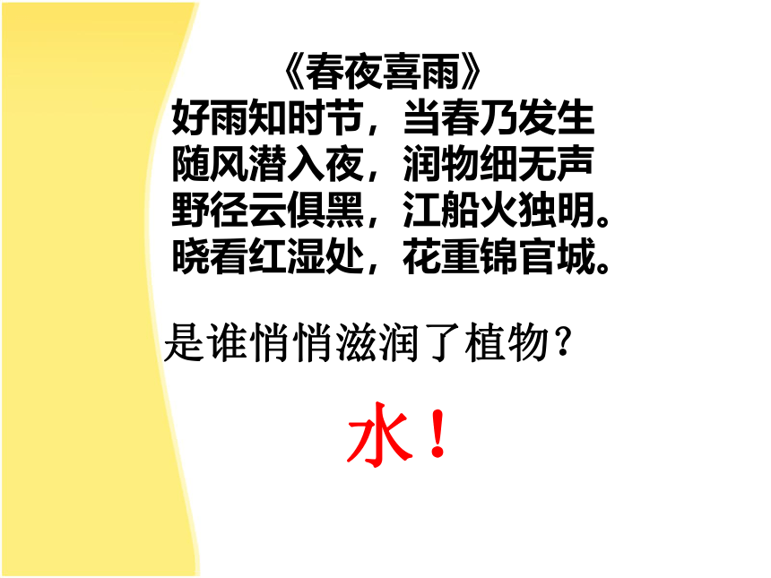 北师大版生物八年级下册8.23.1 生物的生存依赖一定环境 课件（25张PPT）