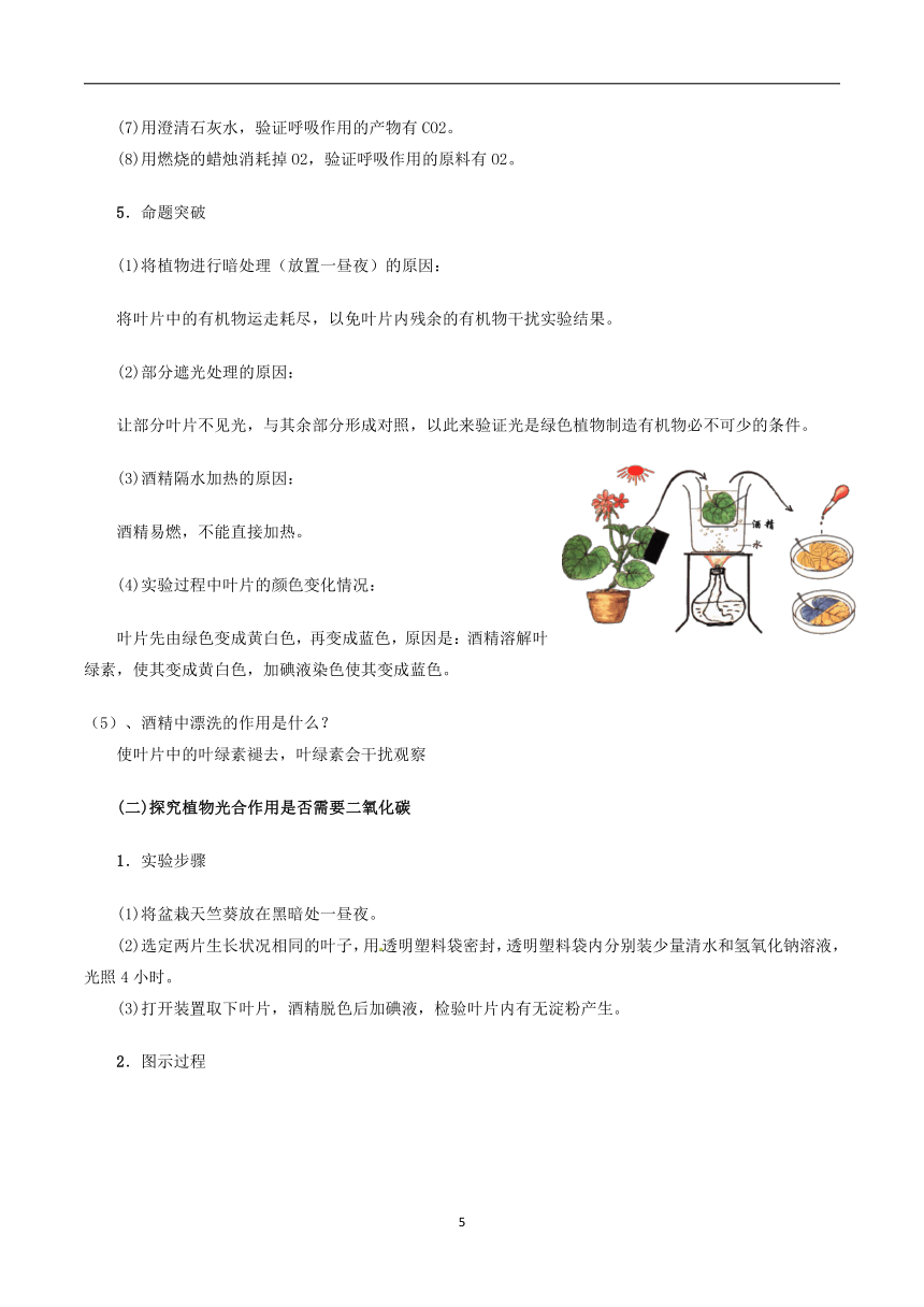 4.4光合作用与呼吸作用知识点