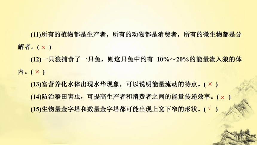 新人教生物二轮复习课件13 生态系统和环境保护(课件共54张PPT)