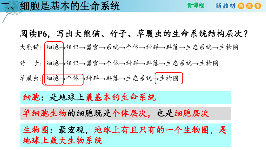 1.1 细胞是生命活动的基本单位 （第2课时）(课件共14张PPT)