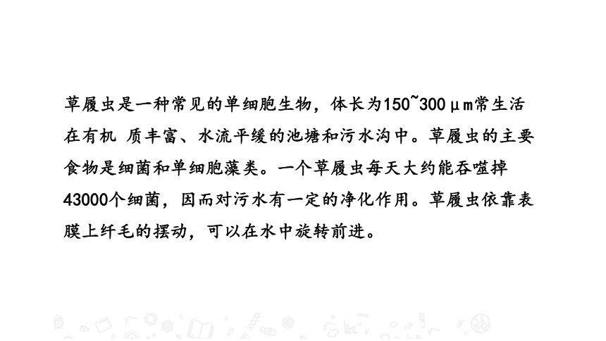 4.1 单细胞生物 教学课件 苏教版七年级生物上册（22张PPT）