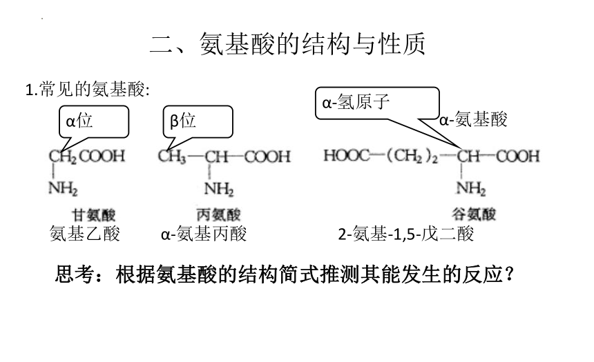 4.2蛋白质课件2021-2022学年高二下学期化学人教版（2019）选择性必修3（20张ppt）