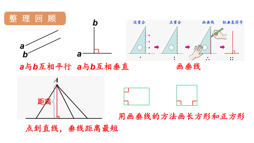 人教版数学四年级上册5平行四边形和梯形 练习课 课件（19张PPT)