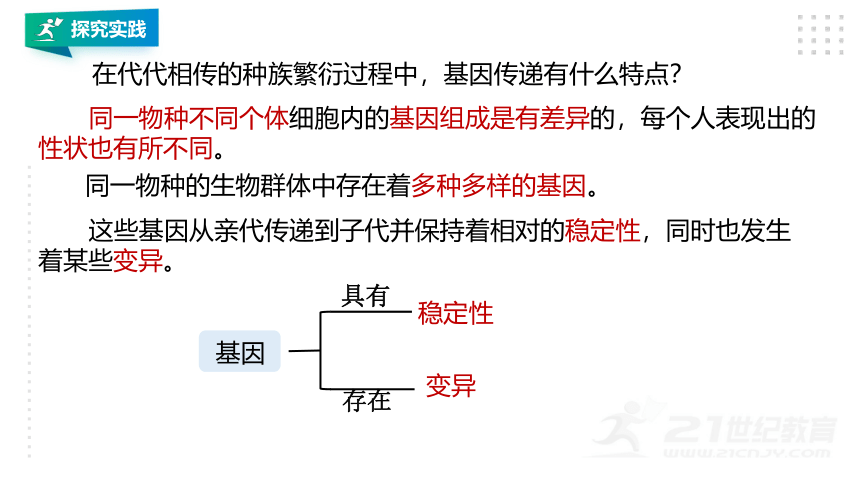 第5节 遗传与进化（第2课时）（课件 25张PPT)