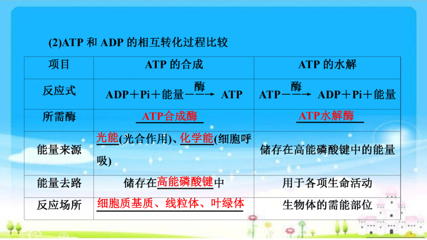 【备考2023】一轮复习：第3单元 第2讲 ATP与细胞呼吸(共108张PPT)