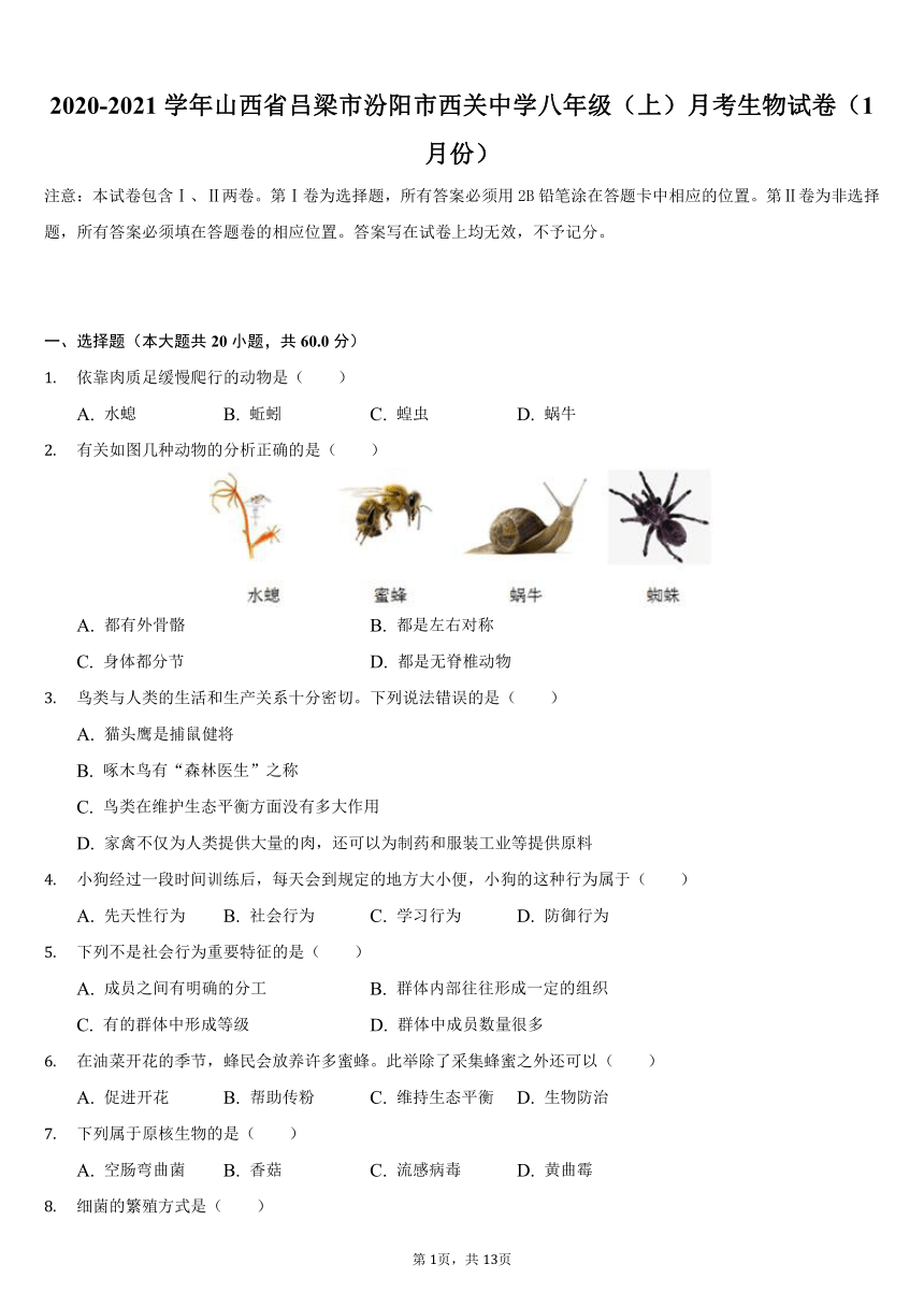 2020-2021学年山西省吕梁市汾阳市西关中学八年级（上）月考生物试卷（1月份）（word版，含解析）