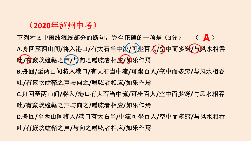 2022年四川省泸州市中考语文专题复习-文言文复习课件(共43张PPT)
