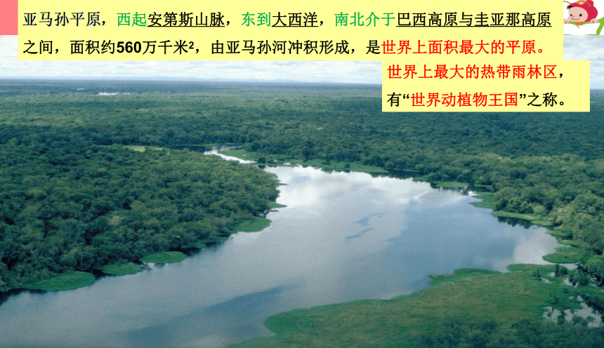 湘教版七下地理8.6巴西课件(共27张PPT)