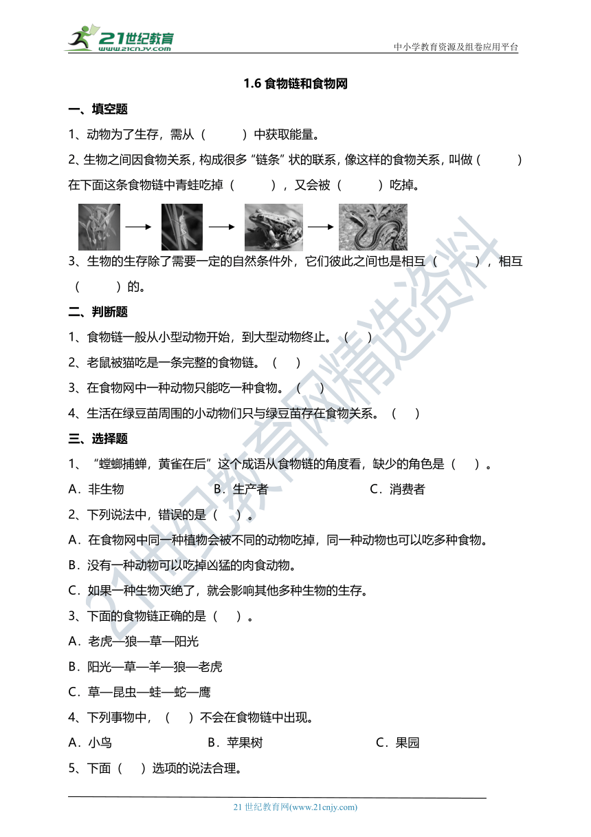 1.6食物链和食物网 试题（含答案解析）