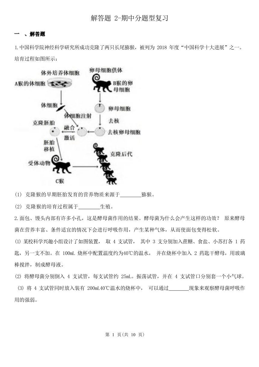 解答题2-期中分题型复习（第1章 代代相传的生命 含解析）