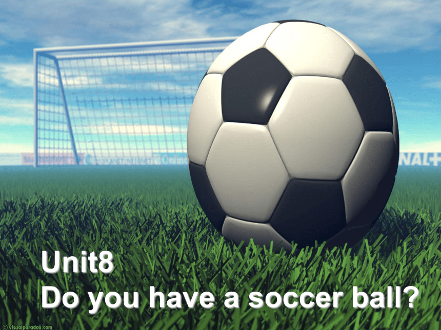 Unit 8  Do you have a soccer ball？Sectioan A