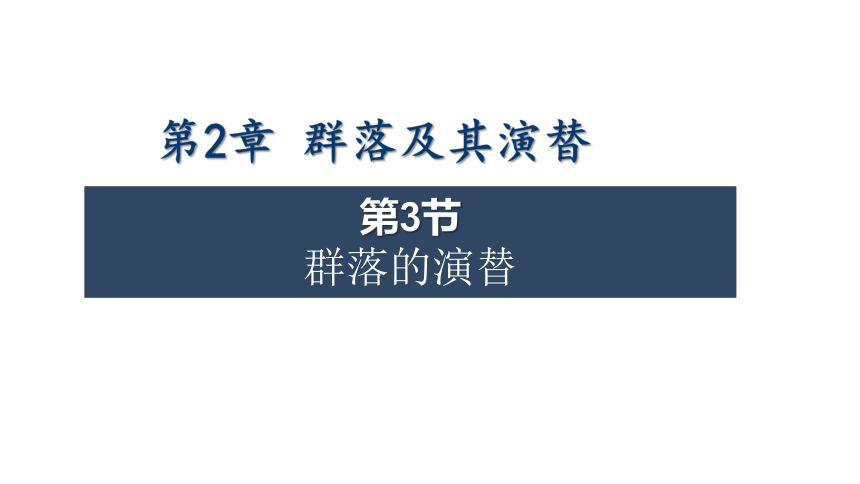 2.3 群落的演替课件（共25张PPT)-人教版（2019）选择性必修2