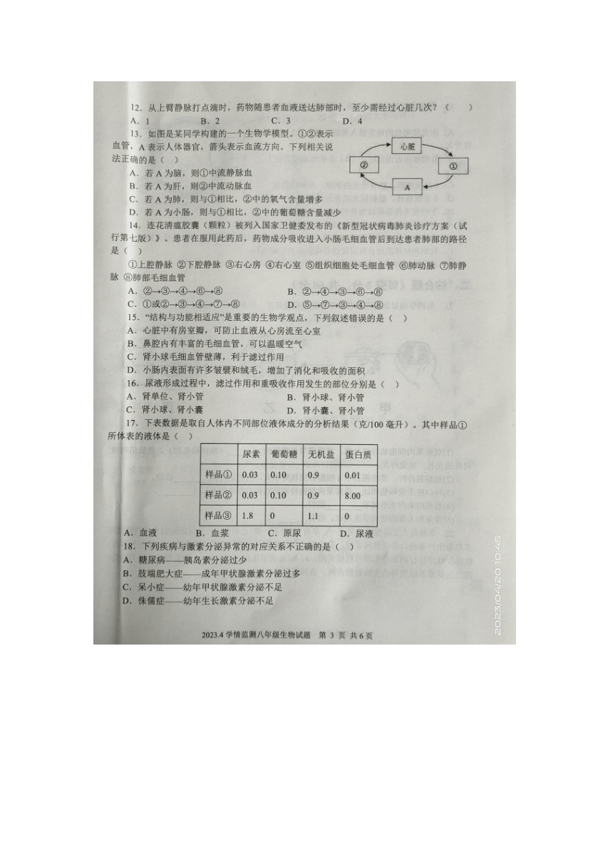 山东省金乡县2022-2023下学期八年级生物期中试题（图片版含答案）