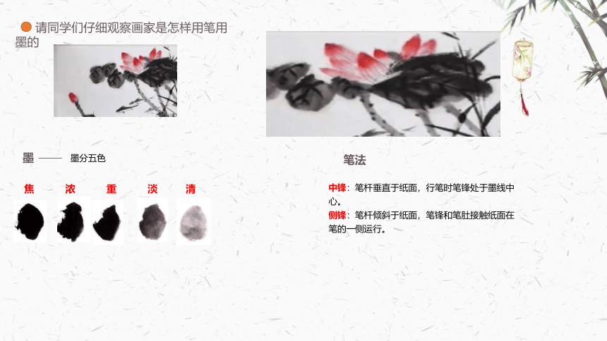 8 写意蔬果 课件(共17张PPT)岭南版 六年上